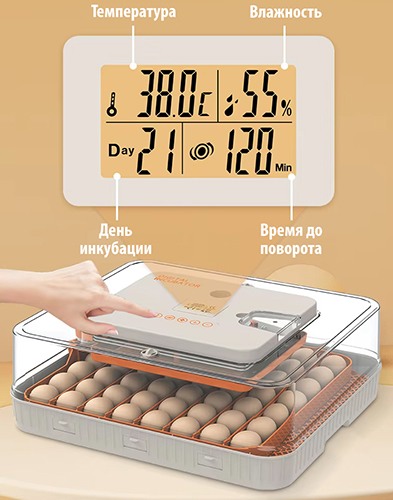 Инкубатор для яиц Wonegg 56В