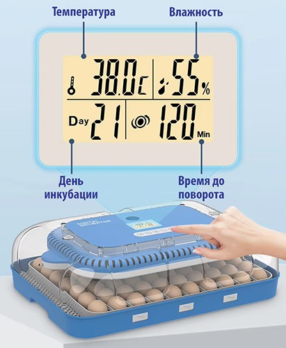 Инкубатор для яиц Wonegg 70В